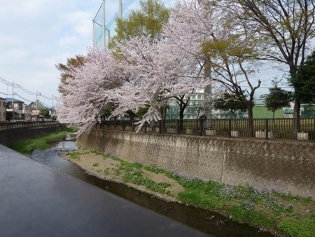 f:id:jamesjiyu:20110410190217j:image
