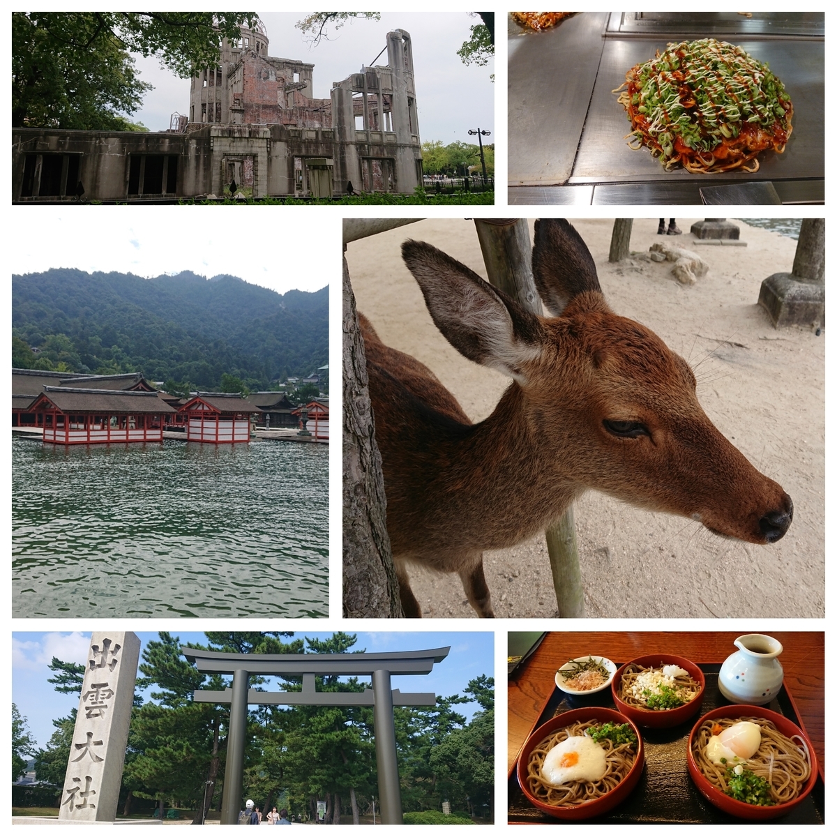 f:id:jamijamiplus:20191019124924j:plain