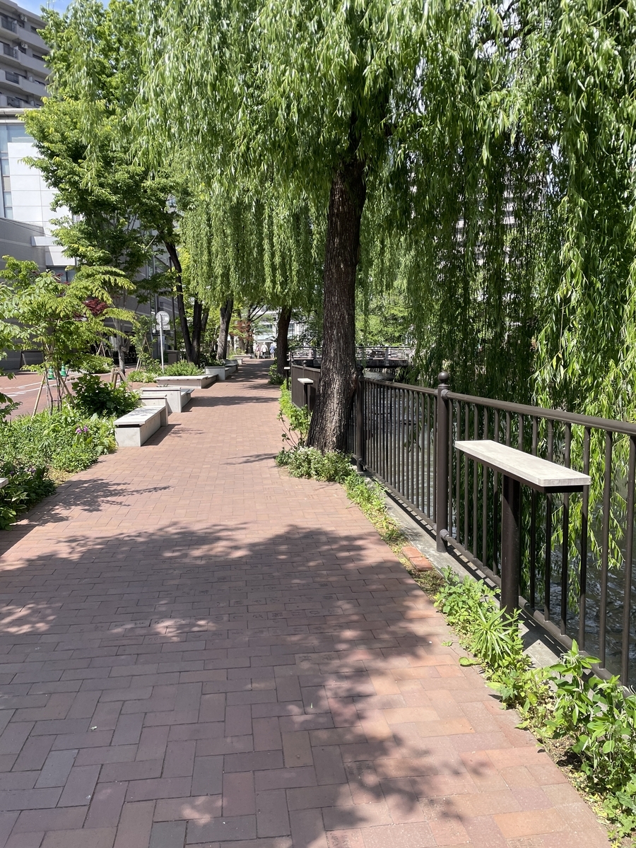 前橋文学館までの川沿いの道