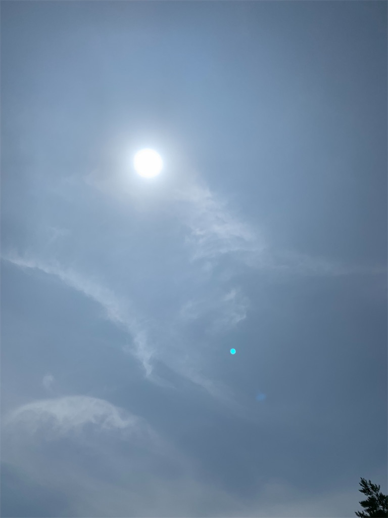 f:id:jammy248:20190814030848j:image f:id:jammy248:20190814030848j:image