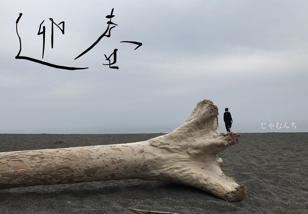 f:id:jamnti:20190114195215j:plain
