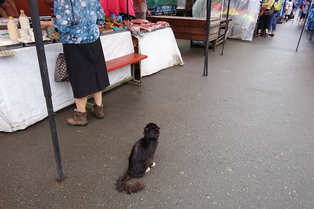 f:id:janal_travel:20190228220925j:plain f:id:janal_travel:20190228220925j:plain