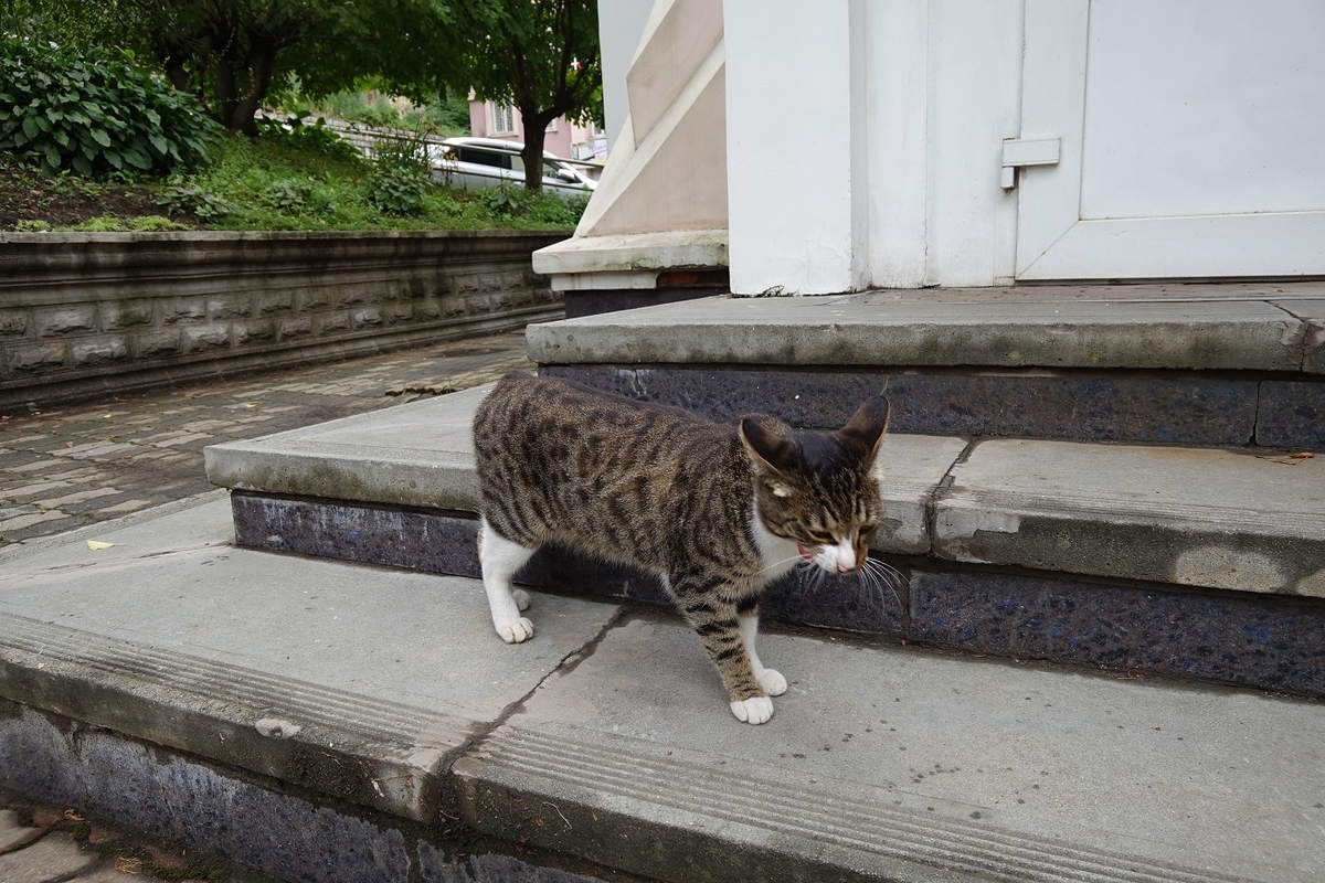 f:id:janal_travel:20190417235844j:plain f:id:janal_travel:20190417235844j:plain