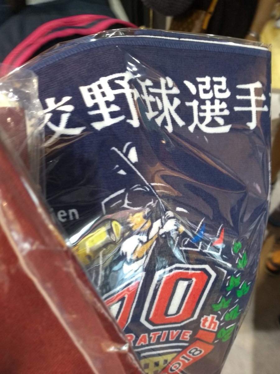 f:id:janal_travel:20200610223638j:plain