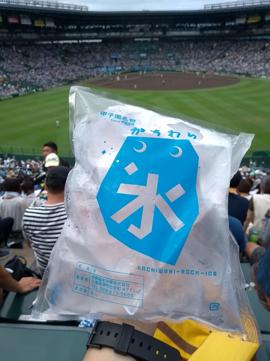 f:id:janal_travel:20200610223708j:plain