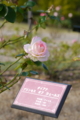 20141106112109