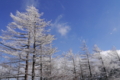 20150112122311