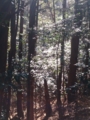 20150124122513
