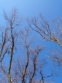 20150124132915