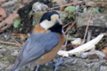 20150124142326