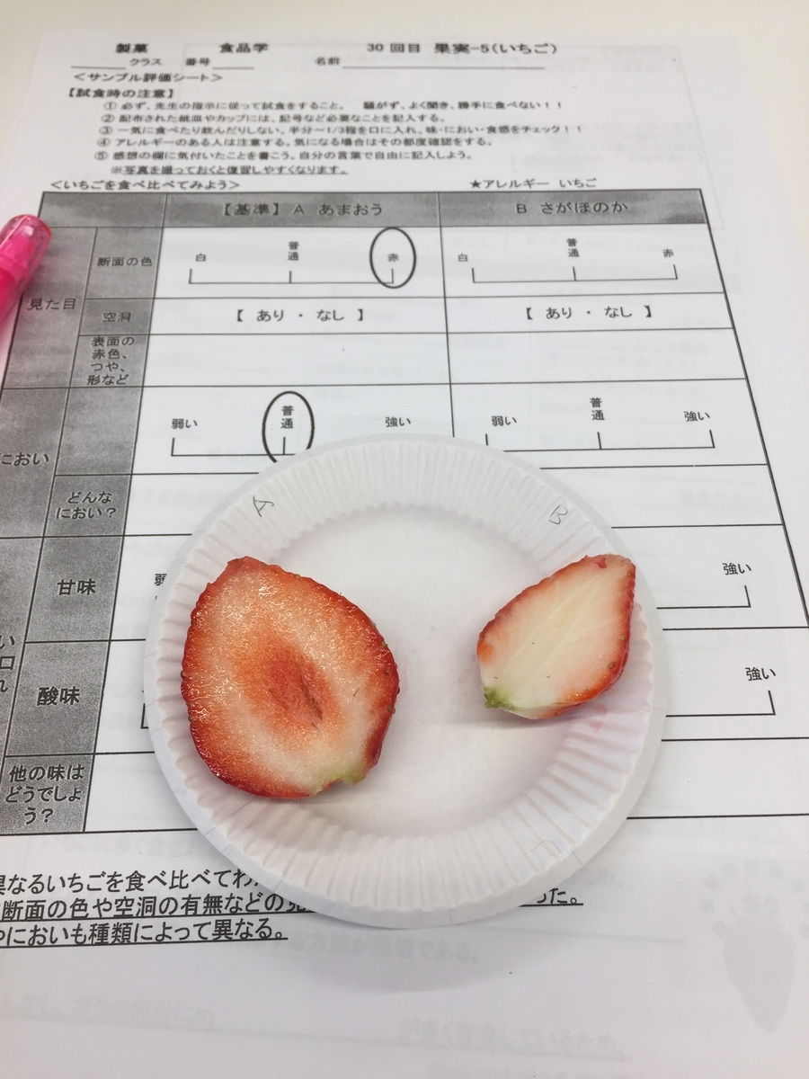 f:id:jane3hibiokashi:20200131113249j:plain