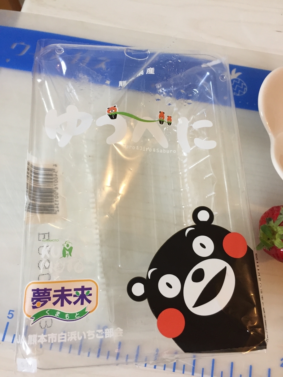 f:id:jane3hibiokashi:20200312194423j:plain