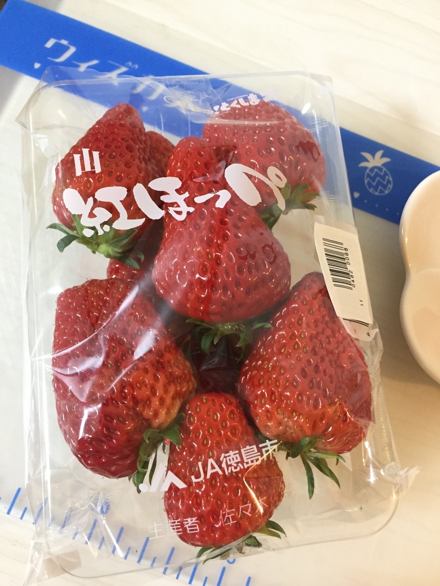 f:id:jane3hibiokashi:20200312194636j:plain