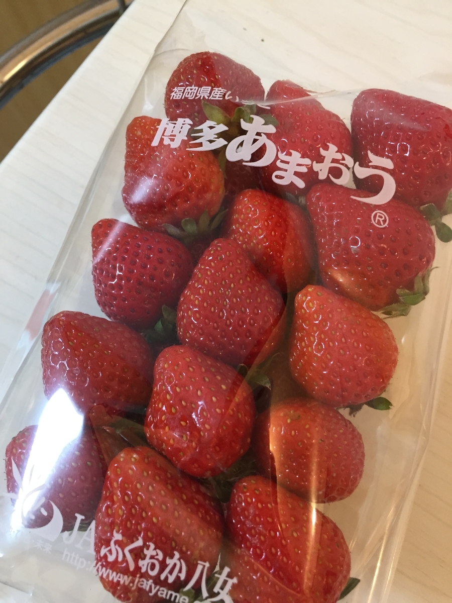 f:id:jane3hibiokashi:20200329152126j:plain