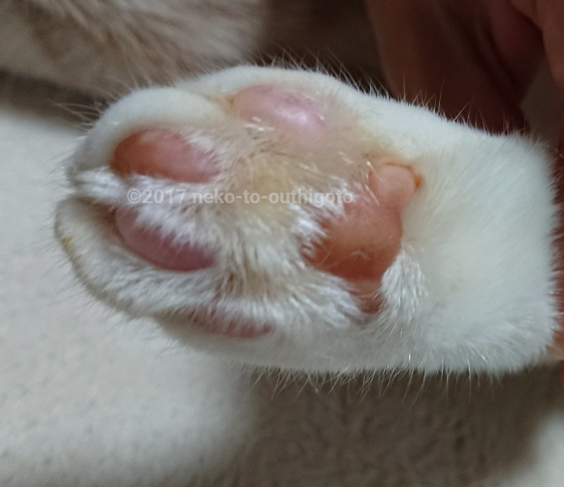 f:id:jane7:20171029101224j:plain