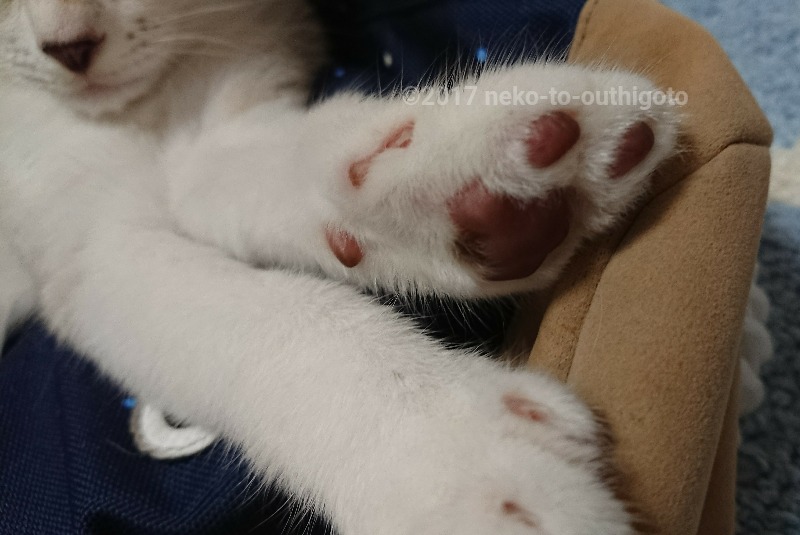 f:id:jane7:20171029182214j:plain