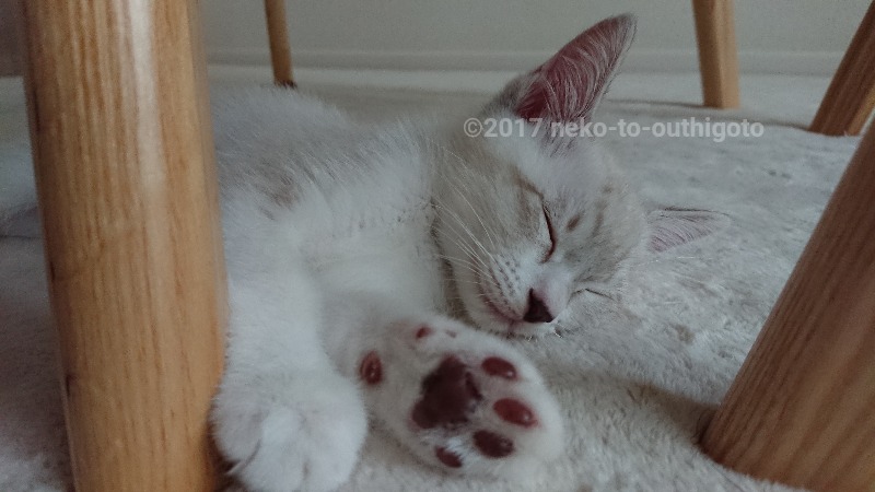 f:id:jane7:20171029182529j:plain