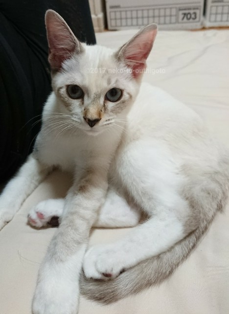 f:id:jane7:20171030034544j:image