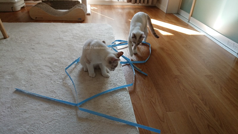 f:id:jane7:20171114021124j:plain