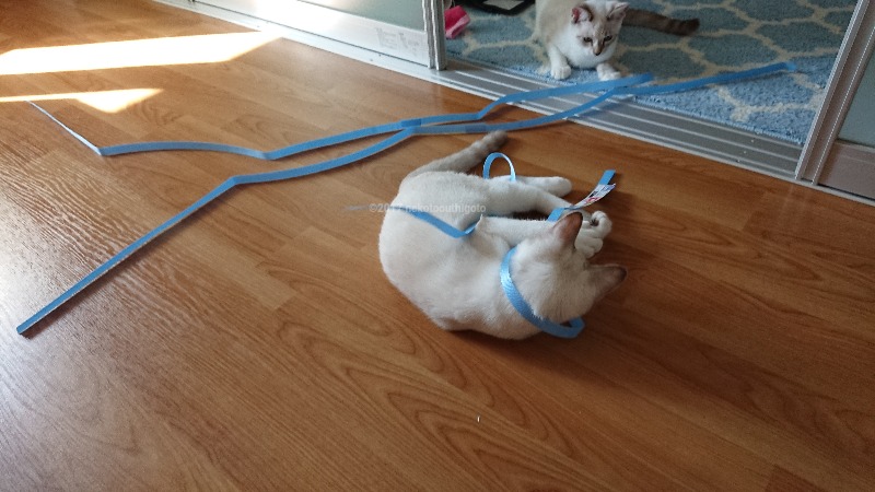 f:id:jane7:20171114021138j:plain