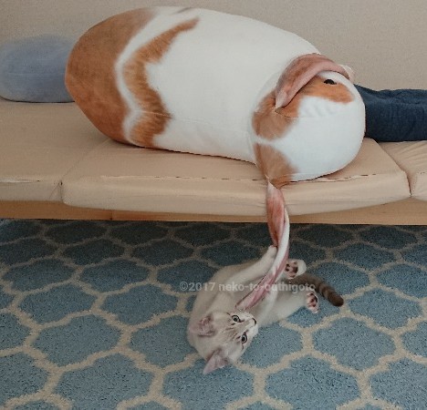 f:id:jane7:20171114023803j:plain