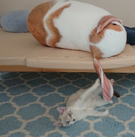 f:id:jane7:20171114023848j:plain