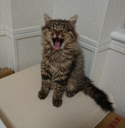 f:id:jane7:20180112104734j:plain