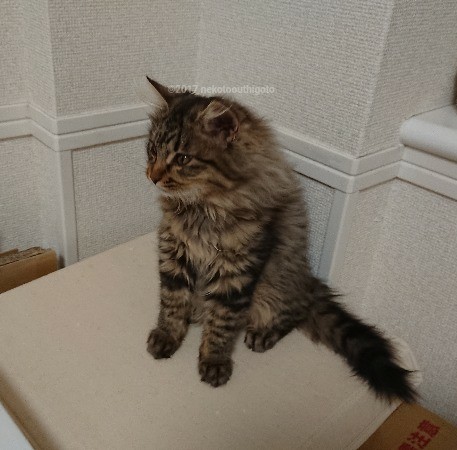 f:id:jane7:20180112104807j:plain