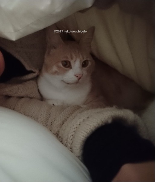 f:id:jane7:20180207185423j:plain