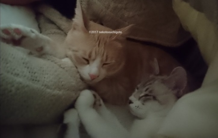 f:id:jane7:20180207185622j:plain