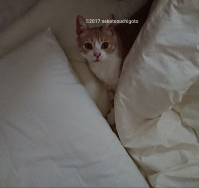 f:id:jane7:20180207205655j:plain