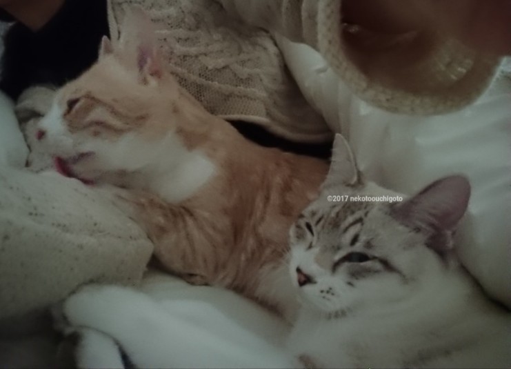 f:id:jane7:20180207210313j:plain