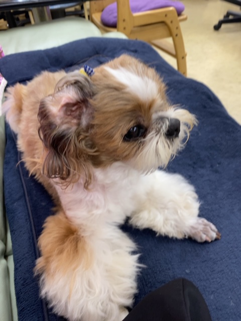 f:id:jangoro46:20200921105830j:plain f:id:jangoro46:20200921105830j:plain