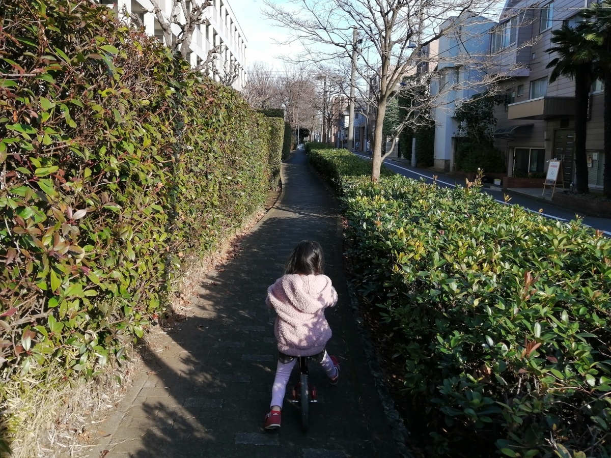 f:id:janski:20200922174614j:plain