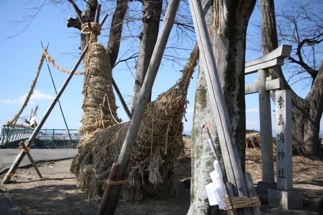 江包・大西のお綱 - japan-akaneの日記