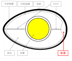 f:id:japan-eat:20220411095448p:plain