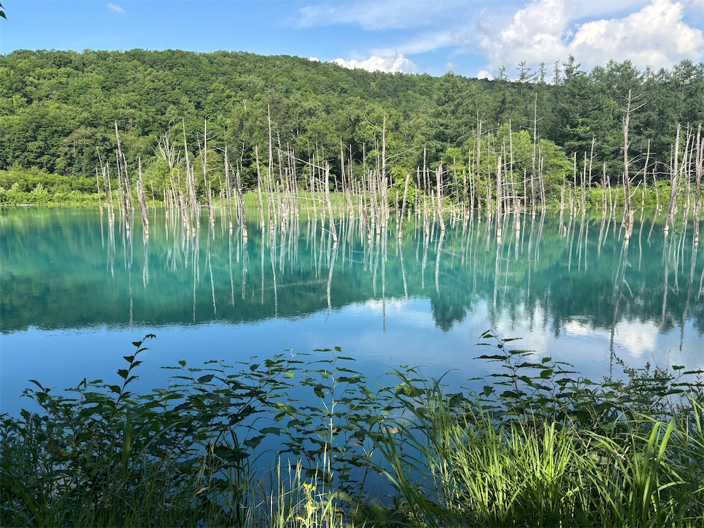 f:id:japan-eat:20250706094330j:image