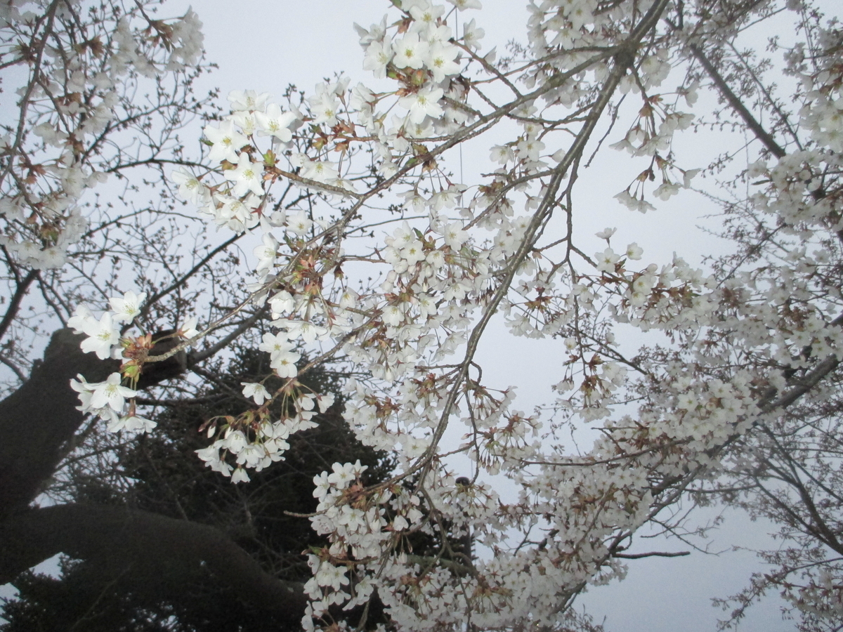 f:id:japan-energy-lab:20200328174836j:plain f:id:japan-energy-lab:20200328174836j:plain