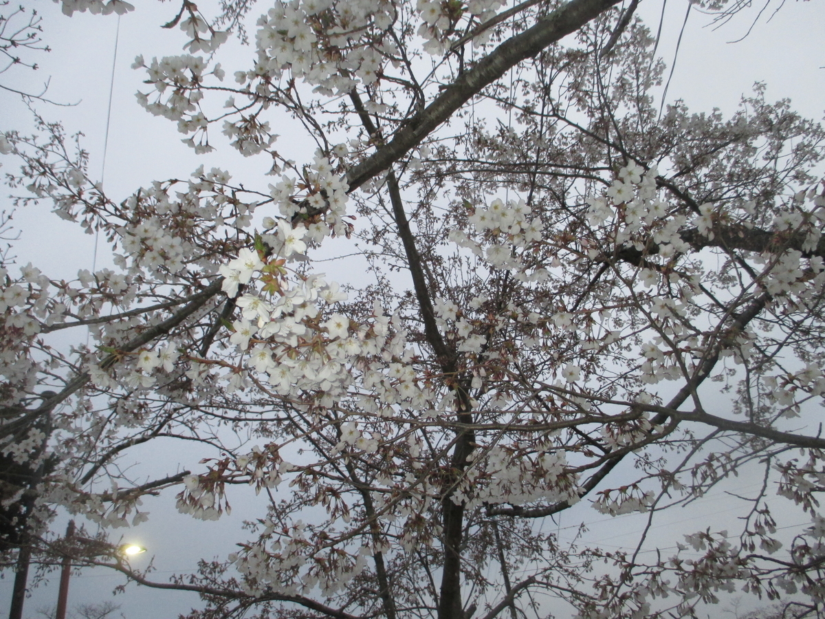 f:id:japan-energy-lab:20200328174842j:plain f:id:japan-energy-lab:20200328174842j:plain