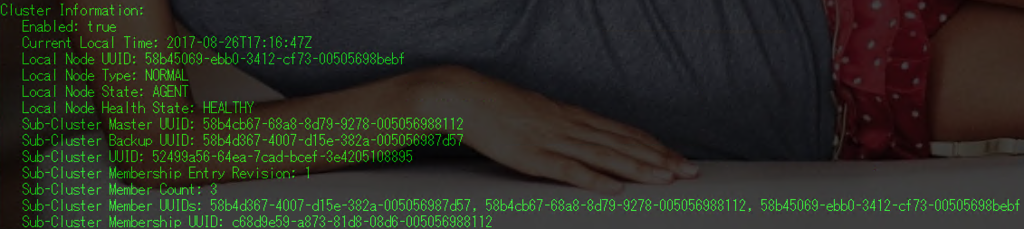 f:id:japan-vmware:20170827024339p:plain f:id:japan-vmware:20170827024339p:plain