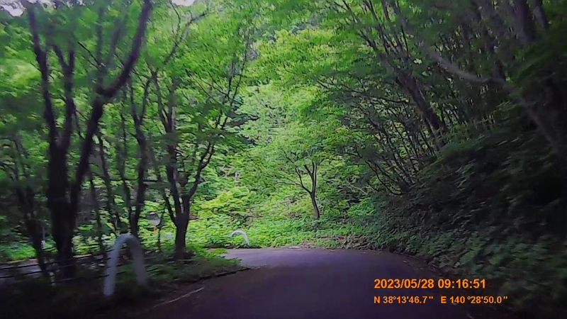 No.271 国道286号 めざせ!国道走破