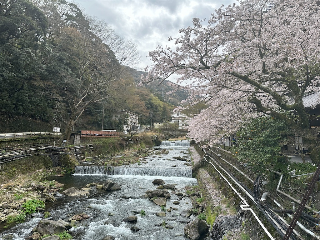 f:id:japanclub:20240708170600j:image f:id:japanclub:20240708170600j:image