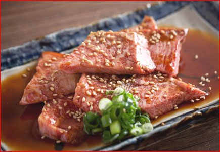 f:id:japanese-standard0:20161220125120j:plain f:id:japanese-standard0:20161220125120j:plain