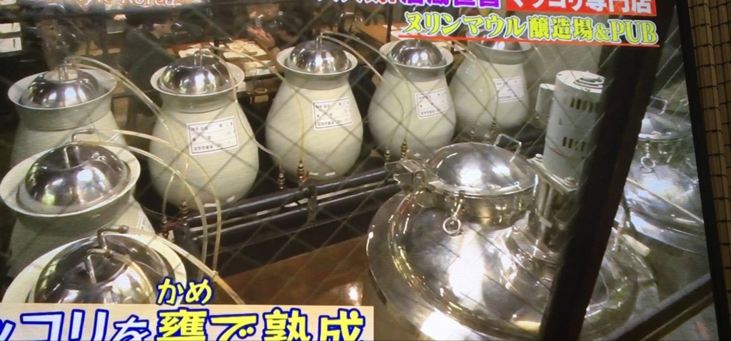 f:id:japanese-standard0:20161225184141j:plain