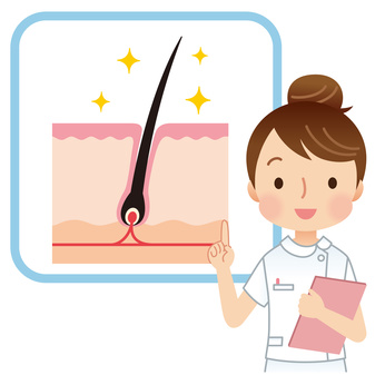 f:id:japanese-standard0:20170104200615j:plain