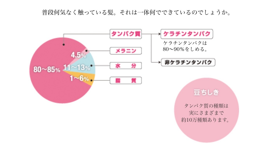 f:id:japanese-standard0:20170104200651j:plain