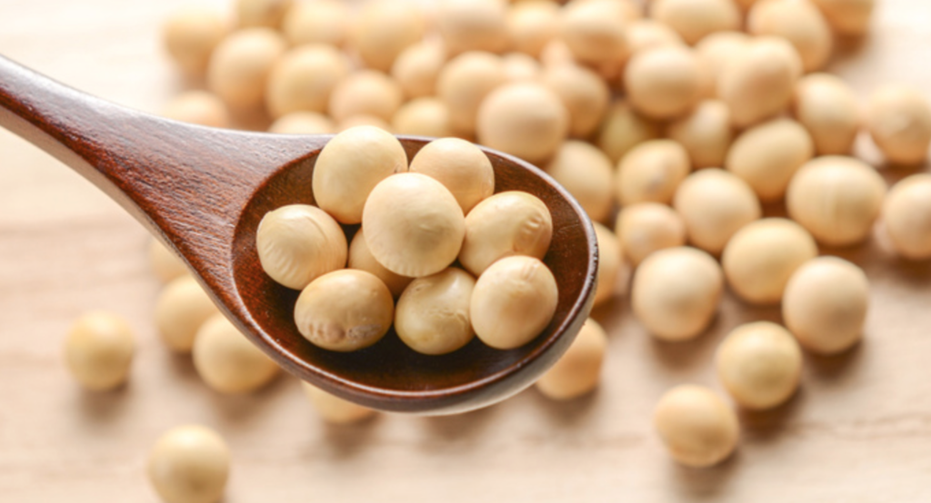 f:id:japanese-standard0:20170104212649p:plain