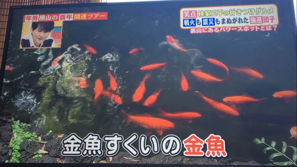 f:id:japanese-standard0:20170112130110j:plain f:id:japanese-standard0:20170112130110j:plain