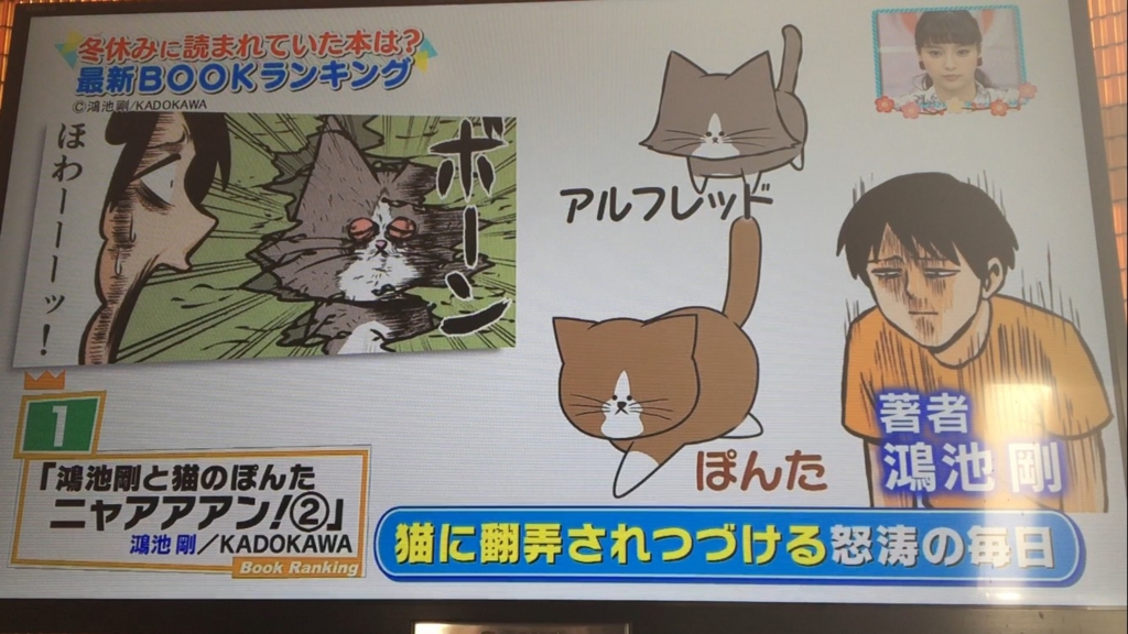 f:id:japanese-standard0:20170114101852j:plain