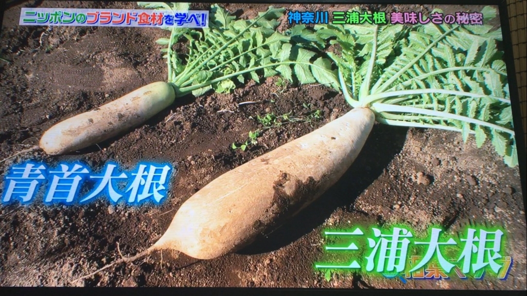 f:id:japanese-standard0:20170115184247j:plain f:id:japanese-standard0:20170115184247j:plain